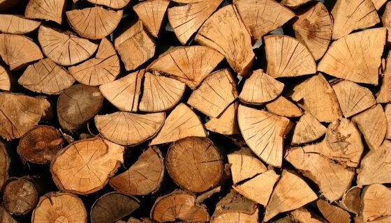 Effective Firewood Storage Ideas