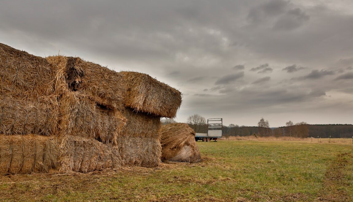 Top Hay Storage Ideas