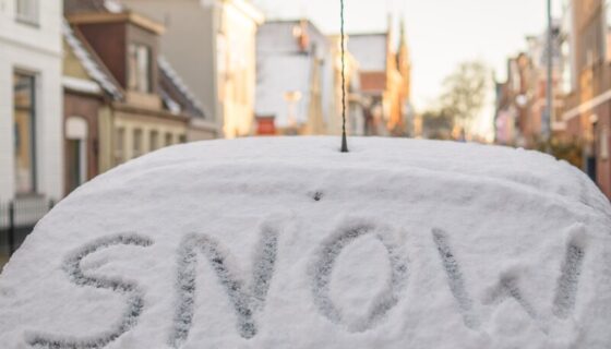 How to Fix Frozen Windshield Wipers