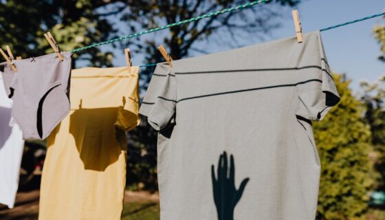 Can You Store Clothes in a Shed?