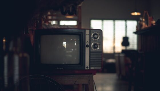 Can You Leave a TV in a Cold Garage?