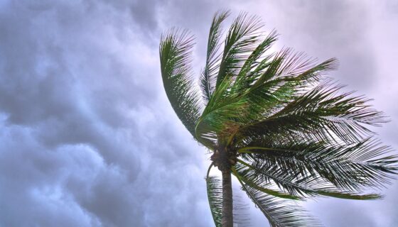 Understanding Wind Uplift Ratings for Metal Buildings
