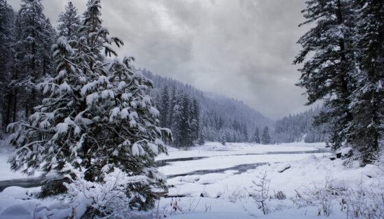 How Do I Calculate Steel Gauge Requirements Based on Snow Load? | American Carports, Inc.