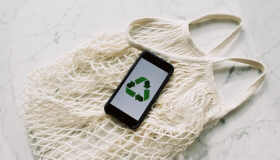 What Are Eco-Friendly Metal Buildings? | American Steel Inc.