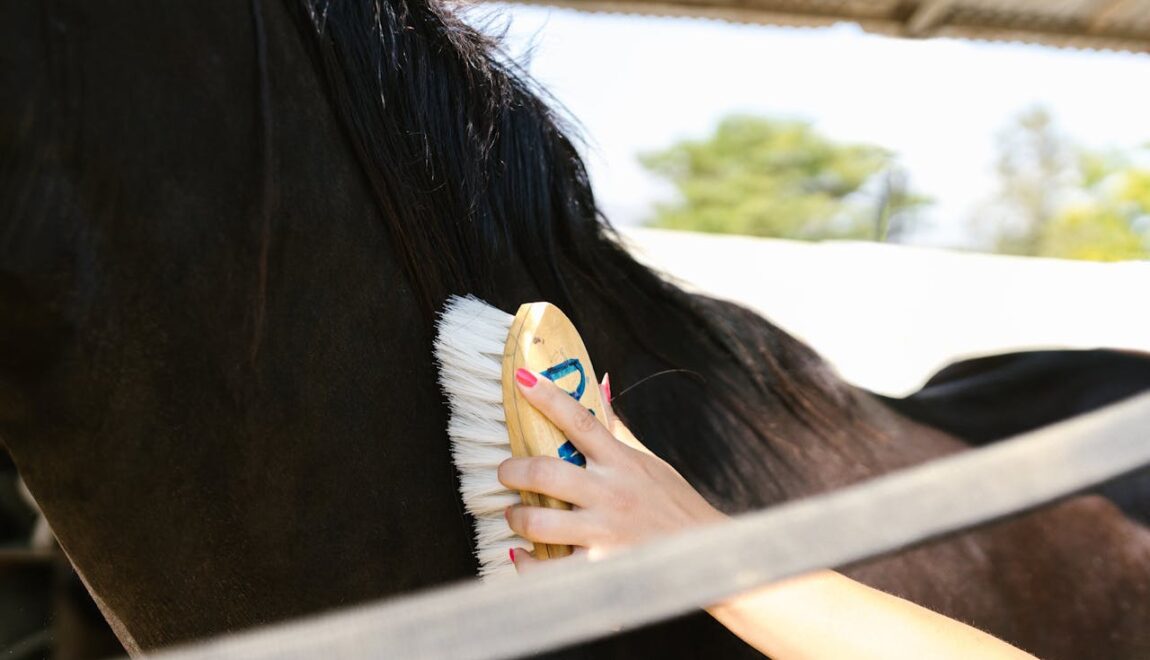 Expanding Agricultural Barns Beyond Equine Care | American Carports, Inc. Expanding Agricultural Barns Beyond Equine Care | American Carports, Inc.