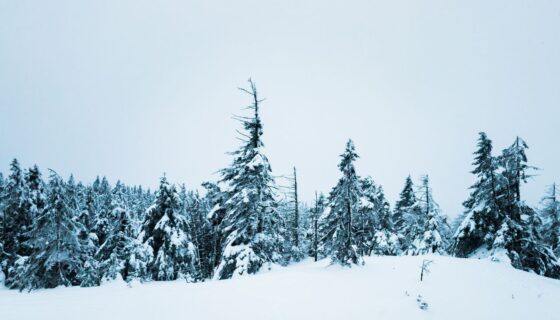 Best RV Carport for High Winds and Snow